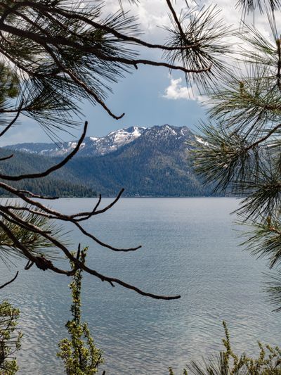 A view of a lake surrounded by mountains seen through sparse tree branches.