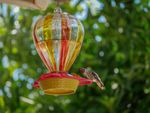 A hummingbird drinking from a feeder